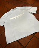 Pegador Colne Logo Oversized Tee Washed Baby Blue White