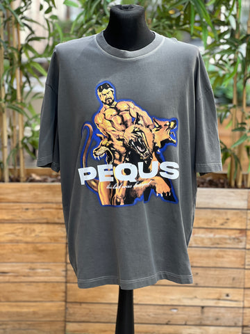 Pequs This kid was betrayed T-Shirt Grey Washed