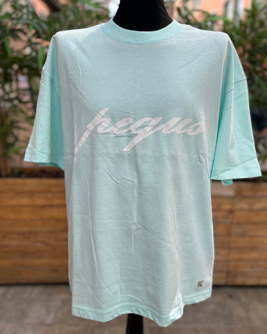 Pequs Front Logo T-Shirt Aqua