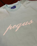 Pequs Front Logo T-Shirt Aqua