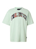 Colucci College Logo T-Shirt Mint / Multi