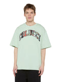 Colucci College Logo T-Shirt Mint / Multi